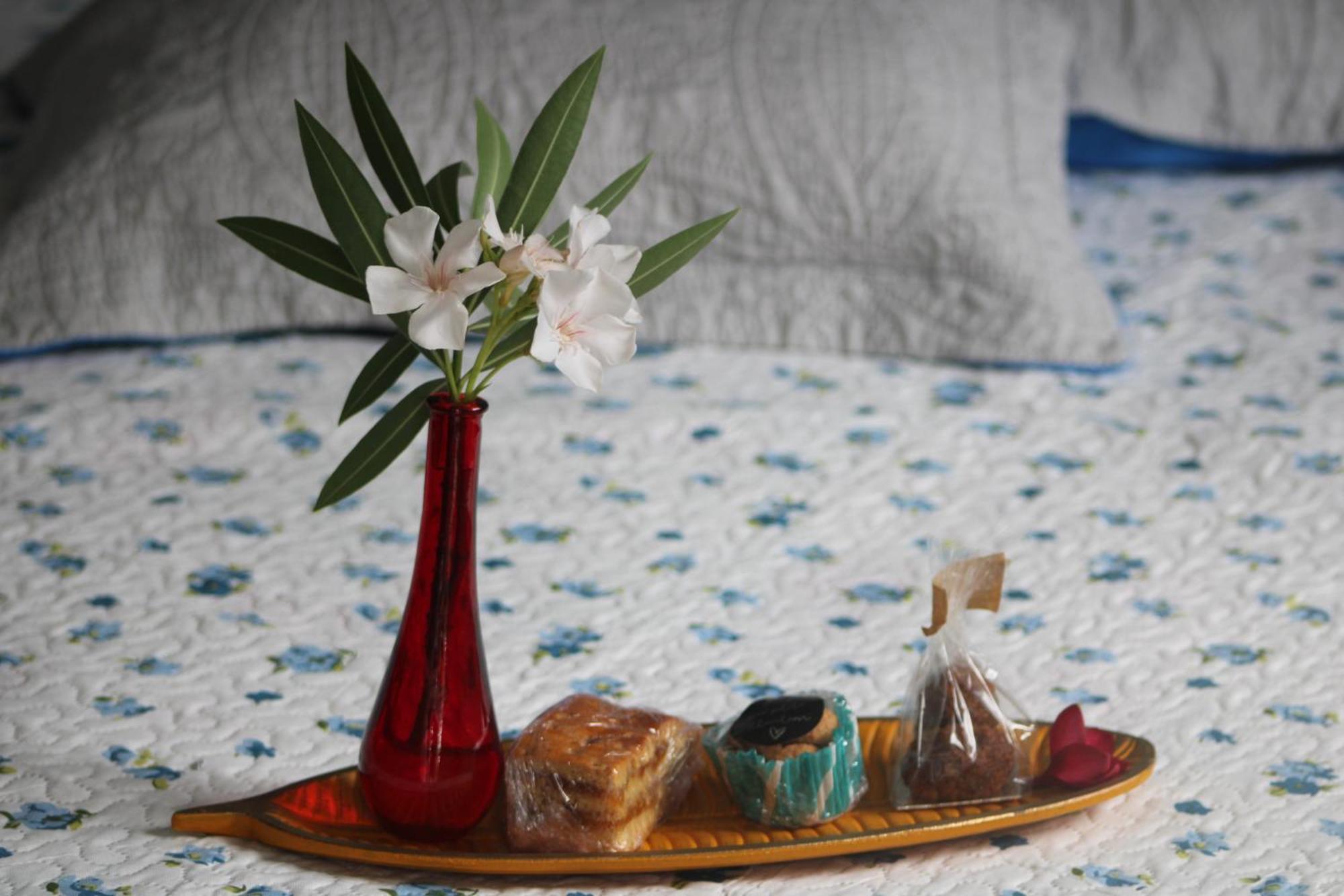 Le Colibri Et Le Frangipanier Apartman La Trinité Kültér fotó