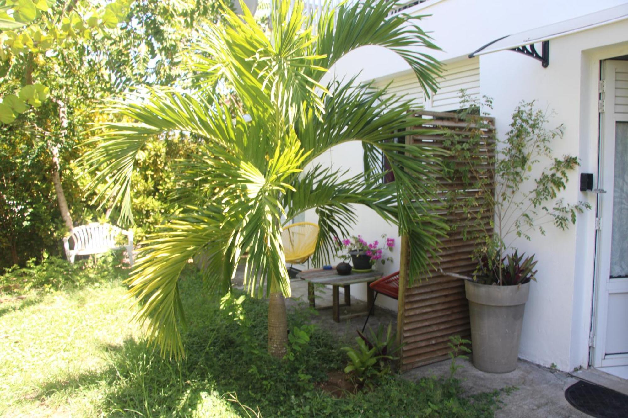 Le Colibri Et Le Frangipanier Apartman La Trinité Kültér fotó